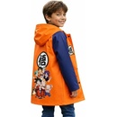 E plus M Dragon Ball