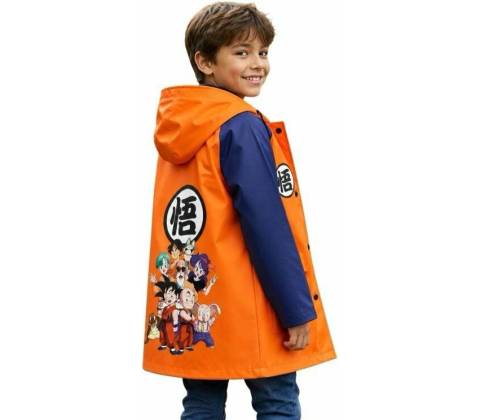 E plus M Dragon Ball