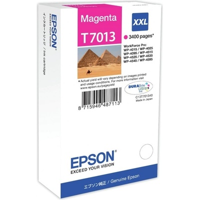Epson Ink Cartridge XXL Magenta 3.4k (C13T70134010)