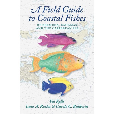 Field Guide to Coastal Fishes of Bermuda, Bahamas, and the Caribbean Sea | Valerie A. Kells, Luiz A. Rocha, Carole C. Baldwin