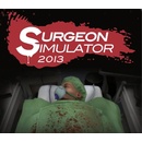 Surgeon Simulator 2013