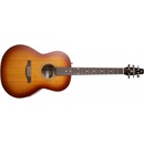 Seagull Entourage Rustic