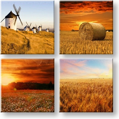 Obraz na stenu Simple life - 40x40 cm