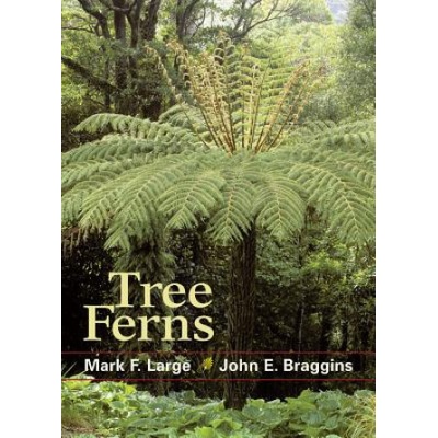 Tree Ferns