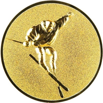 0483 Emblém akrobatické lyžování