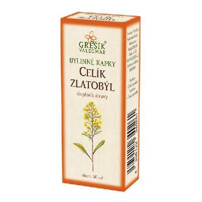 Valdemar Grešík Zlatobyľ obyčajná (celík)