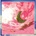 DJANGO DJANGO: MARBLE SKIES CD