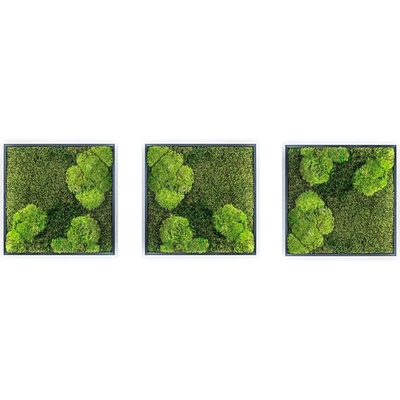Gardners Set 3 mechových obrazů 35x35 kombinovaný mech kopečkový s plochým, černá