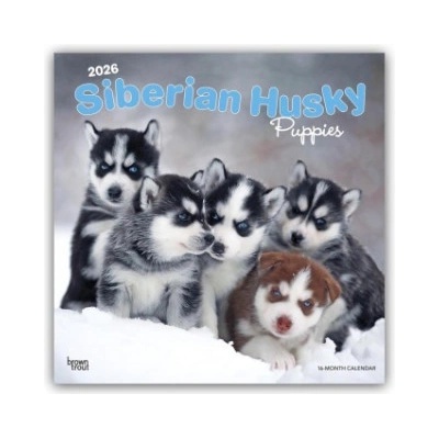 Browntrout Verlags GmbH Siberian Husky Puppies - Siberian Husky Welpen 2026 - 16-Monatskalender | BrownTrout Publishers Inc