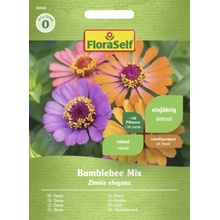 Cínia Bumblebee mix FloraSelf