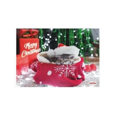 Record vánoční plastová podložka pod misky kotě 42 x 30 cm