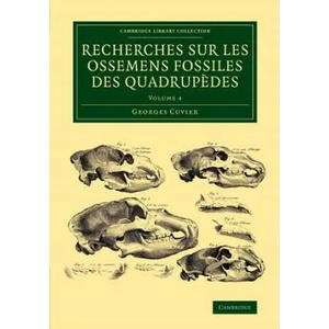 Recherches sur les ossemens fossiles des quadrupedes | Georges Cuvier (ISBN: 9781108083782)