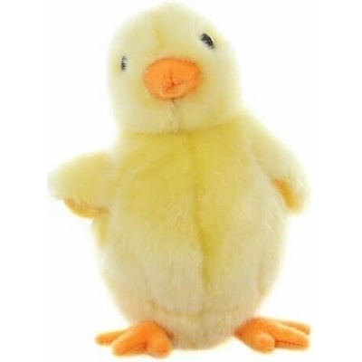 Kuře