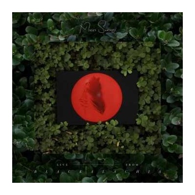 Moses Sumney - Live From Blackalachia LP