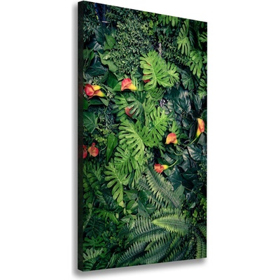 Vertikálny foto obraz na plátne Tropické rastliny 50x100 cm