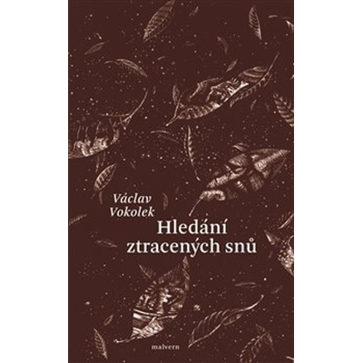 Hledání ztracených snů - Václav Vokolek