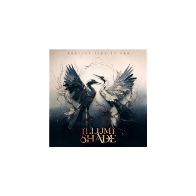 ILLUMISHADE - ANOTHER SIDE OF YOU CD