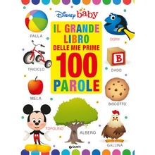 grande libro delle prime 100 parole