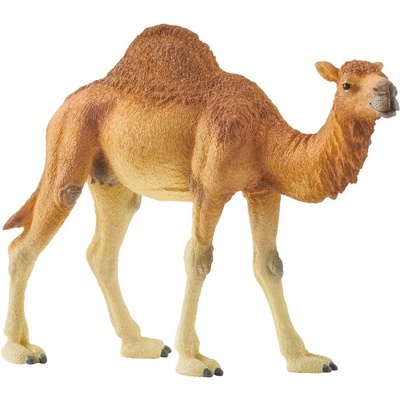 Schleich Фигурка Schleich Wild Life Africa - Едногърба камила (14832-03967)