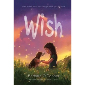 Wish (ISBN: 9781250144058)
