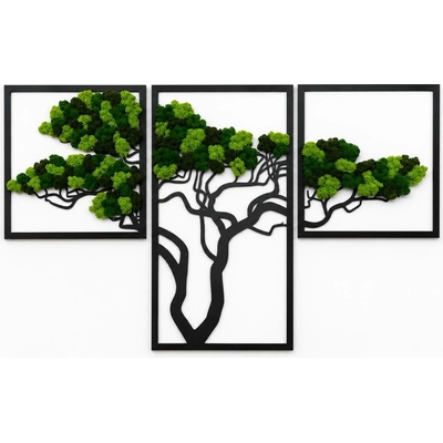 Mechový obraz - strom TRIO Velikost rámu: 110cm x 69cm