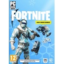 Hry na PC Fortnite: Deep Freeze Bundle