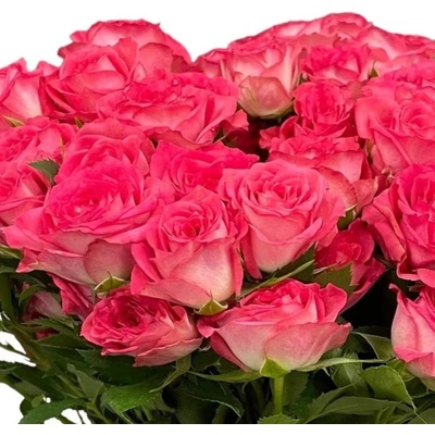 Růžová růže trsová SWEET JULIA 40cm/4+