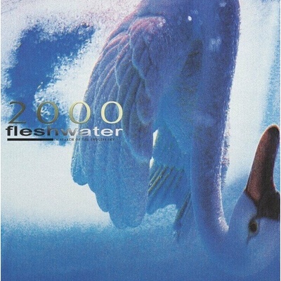 Fleshwater - 2000: In Search Of The Endless Sky (Indie Exclusive) (Pink Coloured) LP