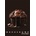 Pigna Chocolate A4 тетрадка с телбод 38 страници P1111-2060 (P1111-2060)