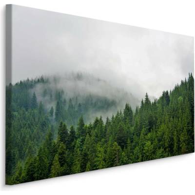 Plátno Mlha Nad Jehličnatým Lesem Varianta: 70x50