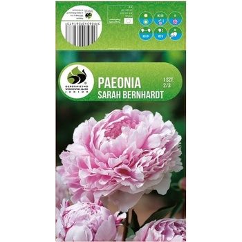 Seklos Божур Paeonia Sarah Bernhardt - 1 бр луковицa