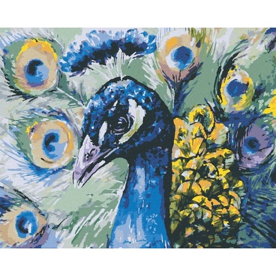 Zuty Malování Podle Čísel Páv 40 x 50 Cm Plátno Rám 8596530139614