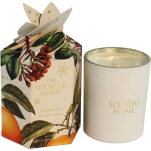 Ashleigh & Burwood The Scented Home Christmas Spice ароматна свещ 170 гр