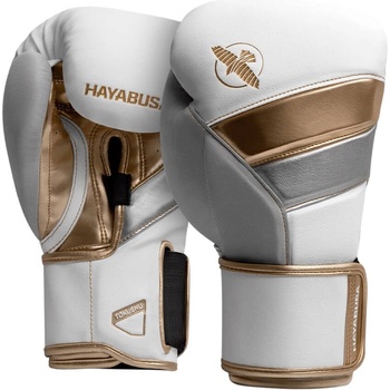 Hayabusa T3
