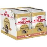 Royal Canin Maine Coon Loaf консерви с пастет за маине куун, 24 x 85 г