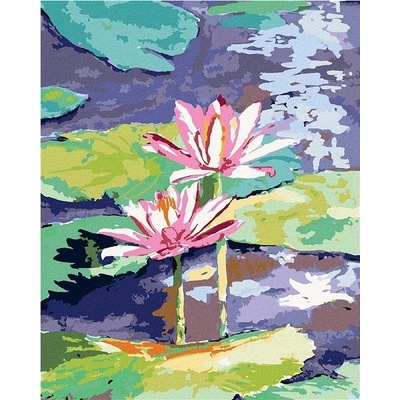 zuty Malování Podle Čísel Růžové Lekníny V Jezírku 80 x 100 Cm Plátno Rám