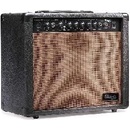 Stagg 40 AA
