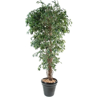 Luxusní umělý strom Ficus Lianas PF, 210cm