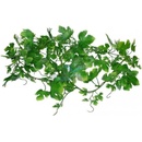 Lucky Reptile Jungle Vine Gape Leaf Vine ca. 200 cm
