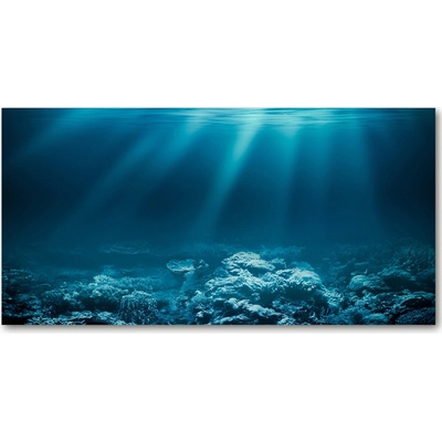 Foto obraz sklo tvrzené podvodný svet 100x50 cm