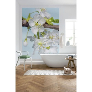 Фототапет Blossom