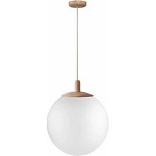 Kaspa 11150119