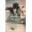 Unfinished Palazzo | Judith Mackrell
