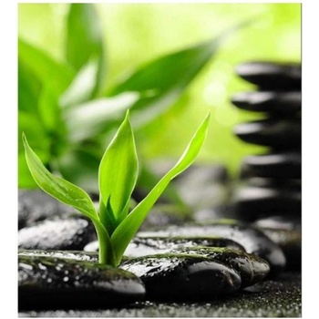 DIMEX ART s. r. o Флизелинов фототапет каменен дзен 225 x 250 см