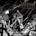 The Final Exhumation Disabled CD Digipak