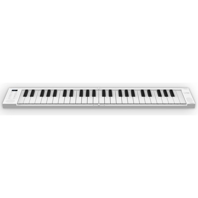 Carry-On Piano 49
