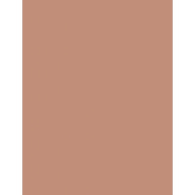 Clinique True Bronze Pressed Powder Bronzer Bronzující pudr 2 Sunkissed 9,6 g