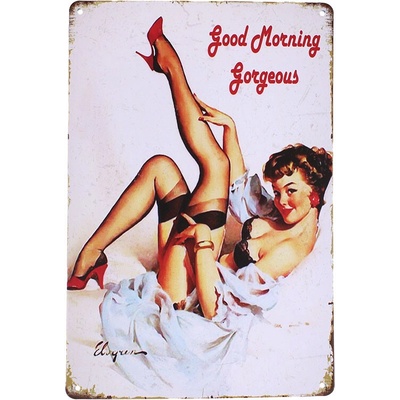 Plechová retro ceduľa Good Morning Gorgeous 20x30cm