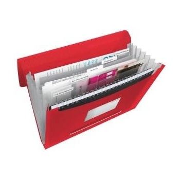 Esselte Briefcase with compartments VIVIDA Red (624016)