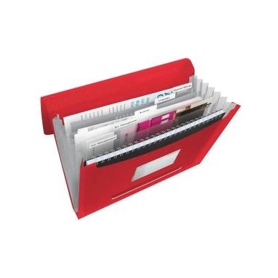 Esselte Briefcase with compartments VIVIDA Red (624016)